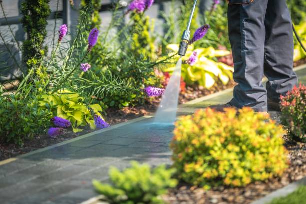 Best Sidewalk and Walkway Cleaning  in Oxford, PA